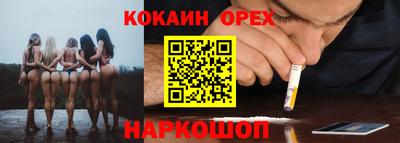 соль ск Новодвинск