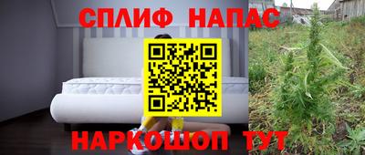 соль ск Новодвинск