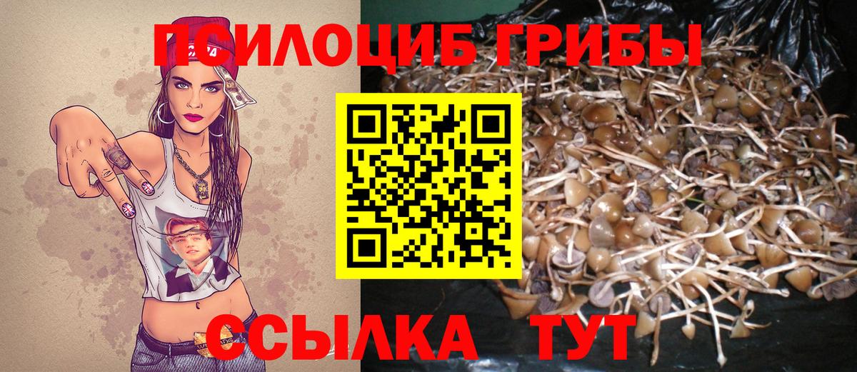 Галлюциногенные грибы MAGIC MUSHROOMS  сколько стоит  Вход с VPN  Усолье-Сибирское  Псилоцибиновые грибы ЛСД 